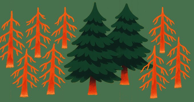 How to build content your competitors cannot copy